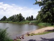 Buchhorner See
